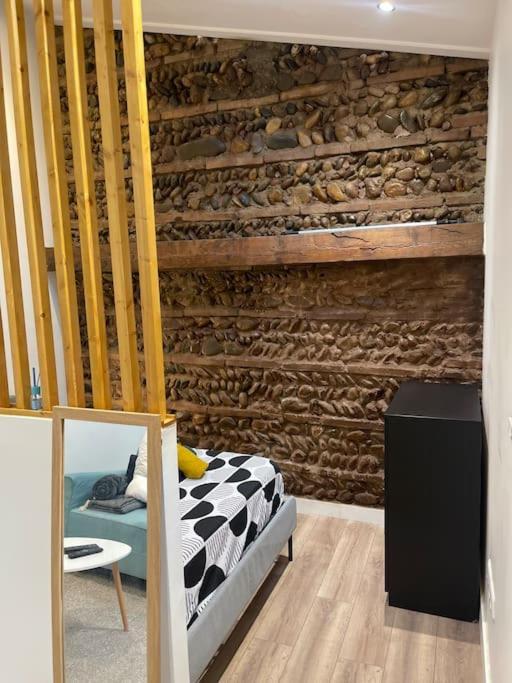 Joli Studio Maisonnette Avec Cachet Toulouse Exterior photo